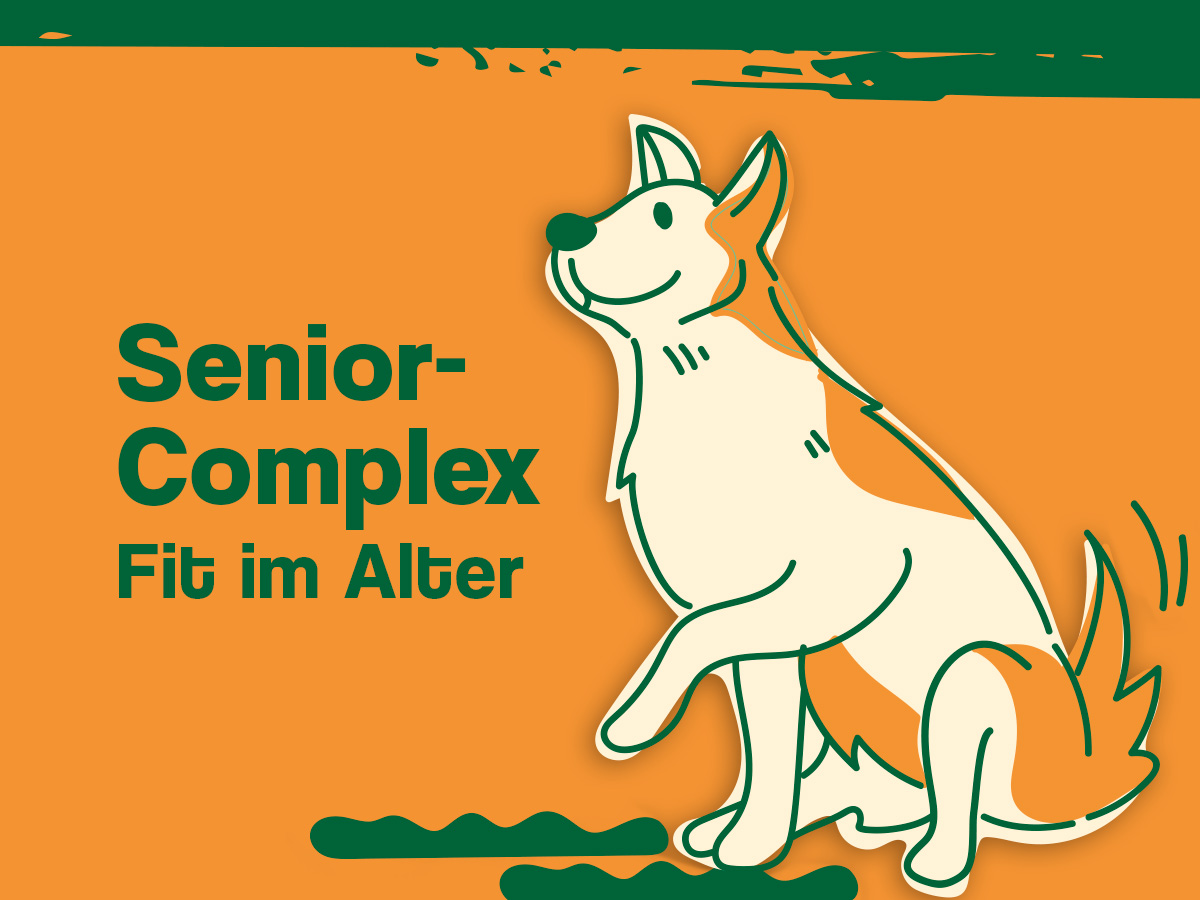 Senior Complex für Hunde Fit im Alter