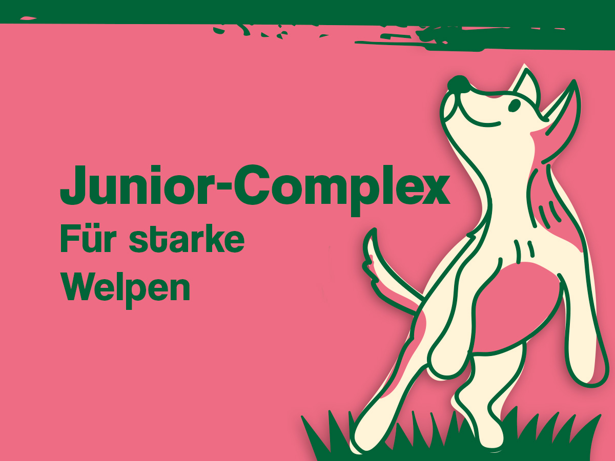 Junior-Complex für starke Welpen. Gezeichneter Hund ist abgebildet.