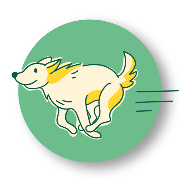 Icon mit gelbem ida+ Hund