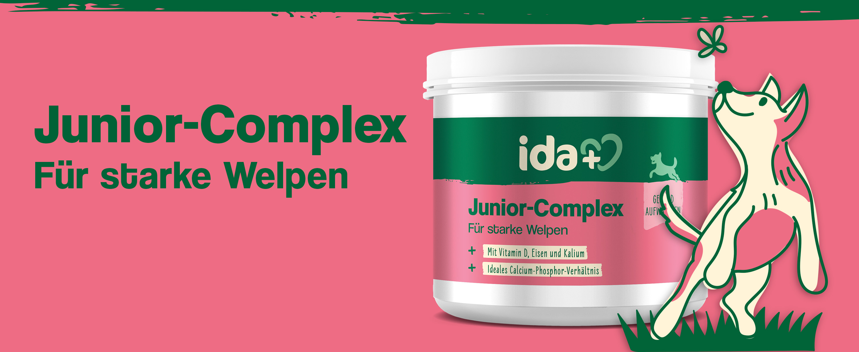Junior-Complex für starke Welpen