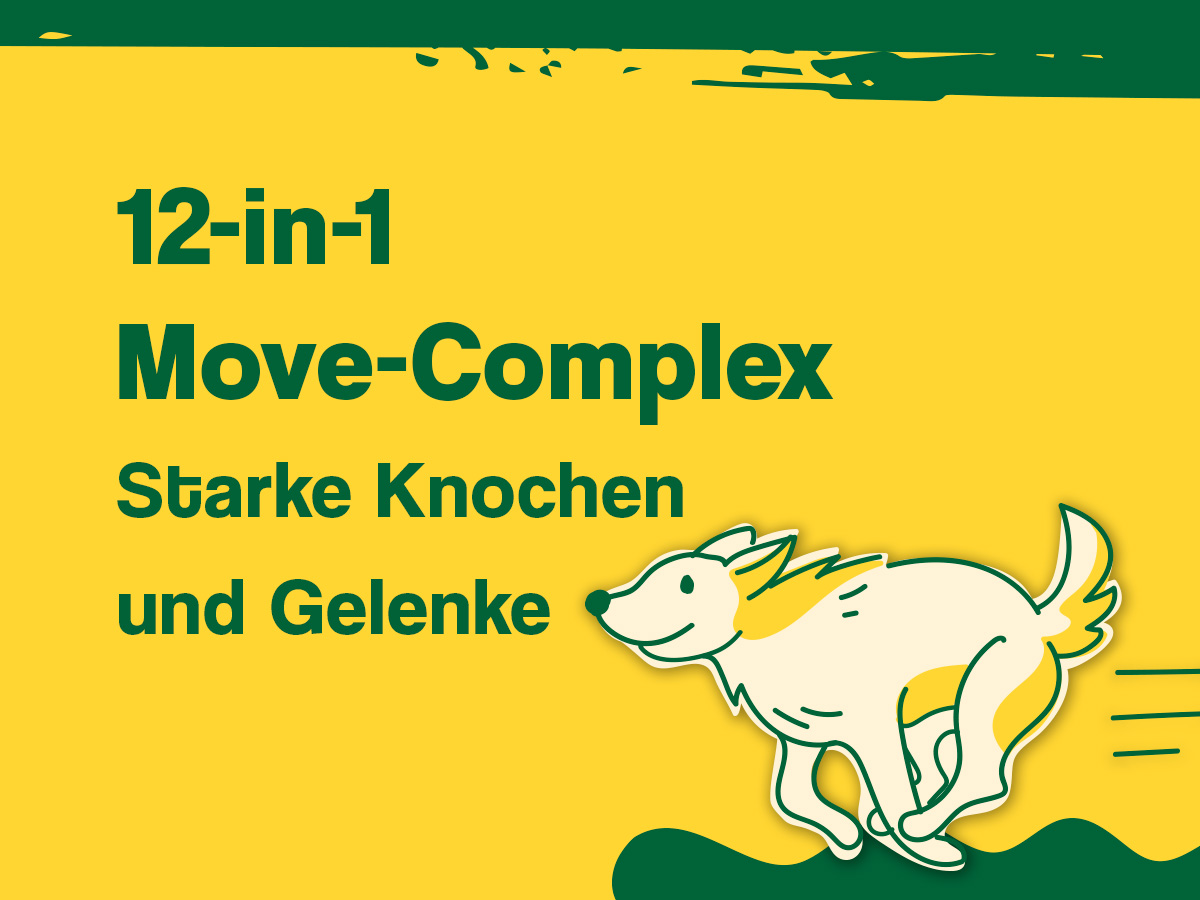 Header_Mobile_12in1_Move_Complex_600x450